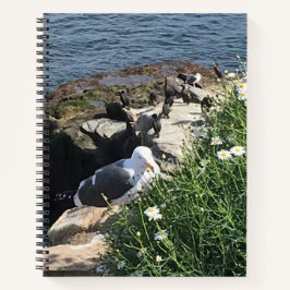 La Jolla Cove, Kalifornien Notizbuch