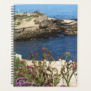 La Jolla Cove, Kalifornien Planer