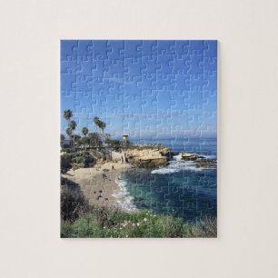 La Jolla Puzzle