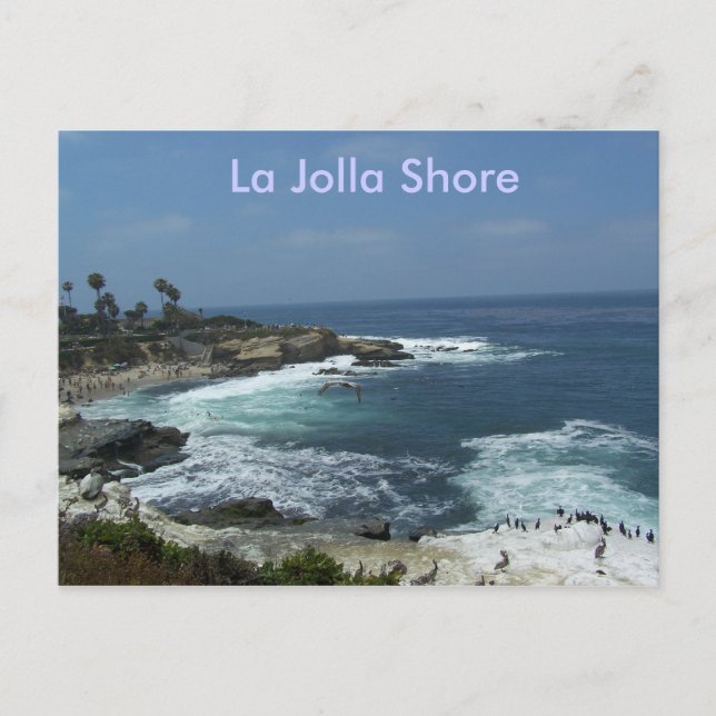 La Jolla Shore Postkarte (Vorderseite)