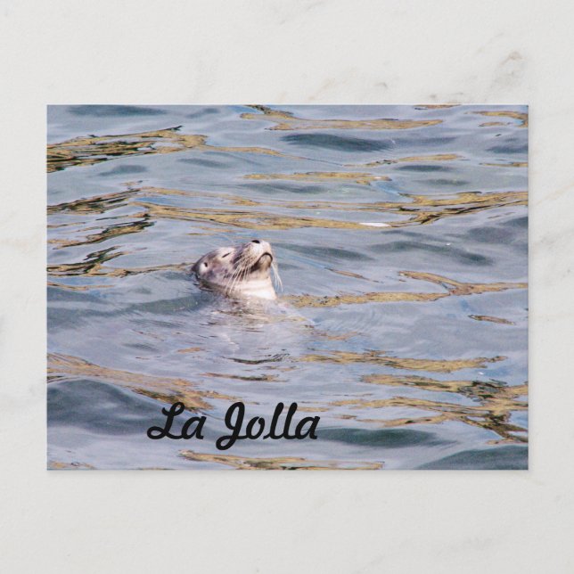La Jolla Siegel Postkarte (Vorderseite)