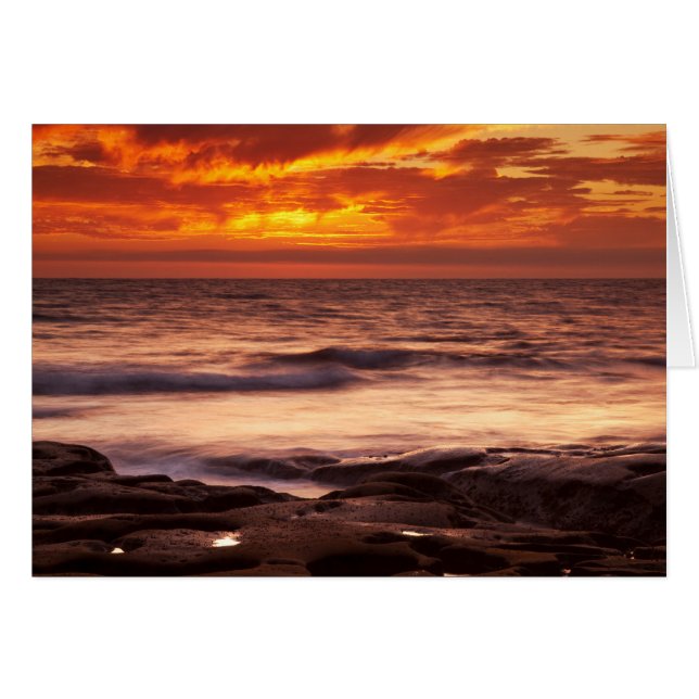 La Jolla Tide Pools (Vorderseite (Horizontal))