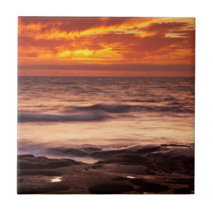 La Jolla Tide Pools Fliese