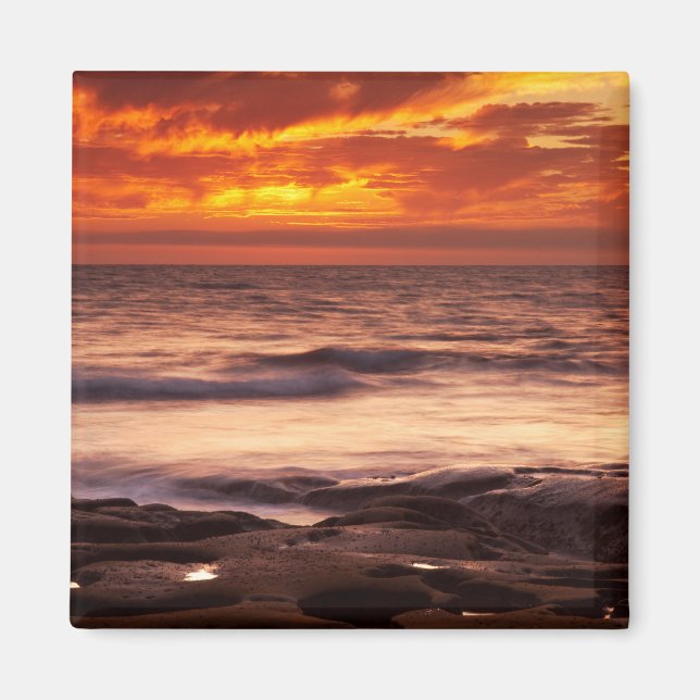 La Jolla Tide Pools Magnet (Vorne)