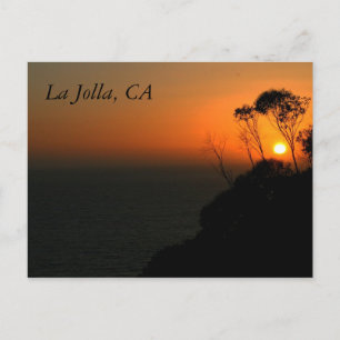 La- Jollaeukalyptus-Waldung Postkarte