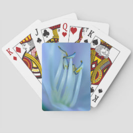 La La La Land Spielkarten