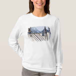 La Mancha, Spanien. Don Quijote kämpfte bekanntlic T-Shirt
