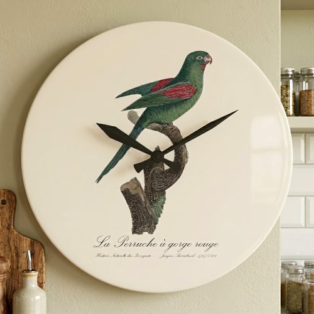 La Perruche a gorge rouge Große Wanduhr (Orange-Chinned Parakeet, Brotogeris jugularis. Large Clock)