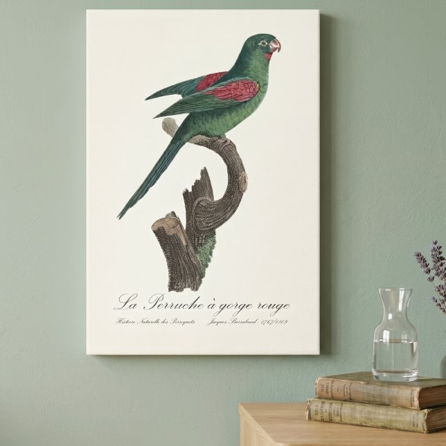 La Perruche a gorge rouge Leinwanddruck (Orange-Chinned Parakeet, Brotogeris jugularis. Canvas Print)