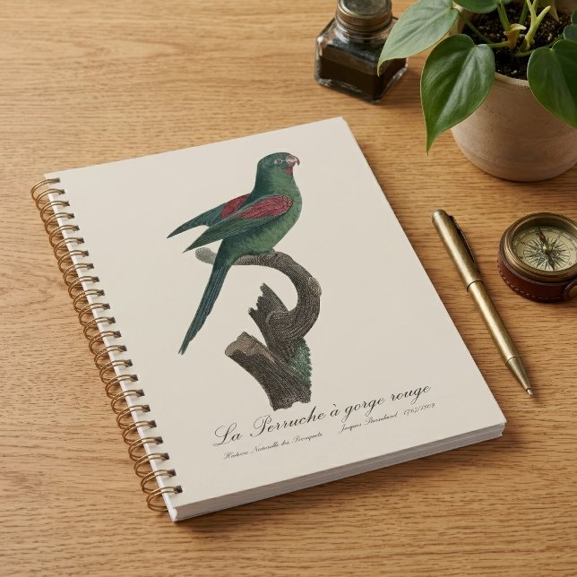 La Perruche a gorge rouge Planer (Orange-Chinned Parakeet, Brotogeris jugularis. Planner)