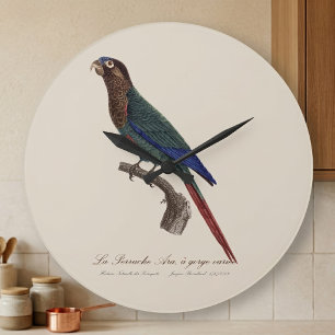 La Perruche Ara, eine Schlucht Große Wanduhr