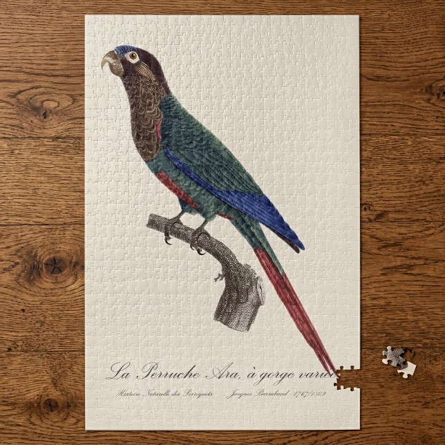 La Perruche Ara, eine Schlucht Puzzle (The Painted Parakeet, Pyrrhura Picta. Jigsaw Puzzle)