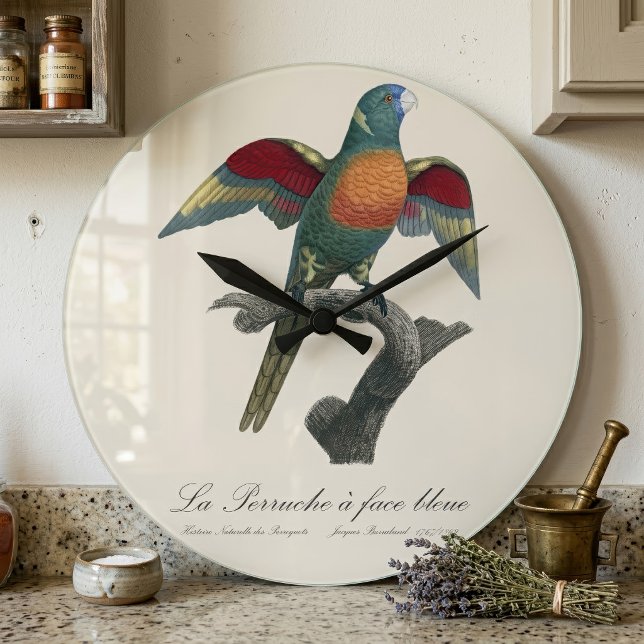 La Perruche, ein Bleistift Große Wanduhr (Coconut Lorikeet, Trichoglossus haematodus. Large Clock)