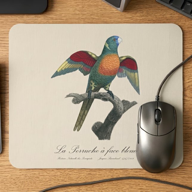 La Perruche, ein Bleistift Mousepad (Coconut Lorikeet, Trichoglossus haematodus. Mouse Pad)