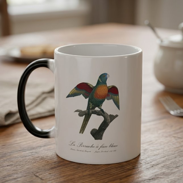 La Perruche, ein Bleistift Verwandlungstasse (Coconut Lorikeet, Trichoglossus haematodus. Color Morph Mug)