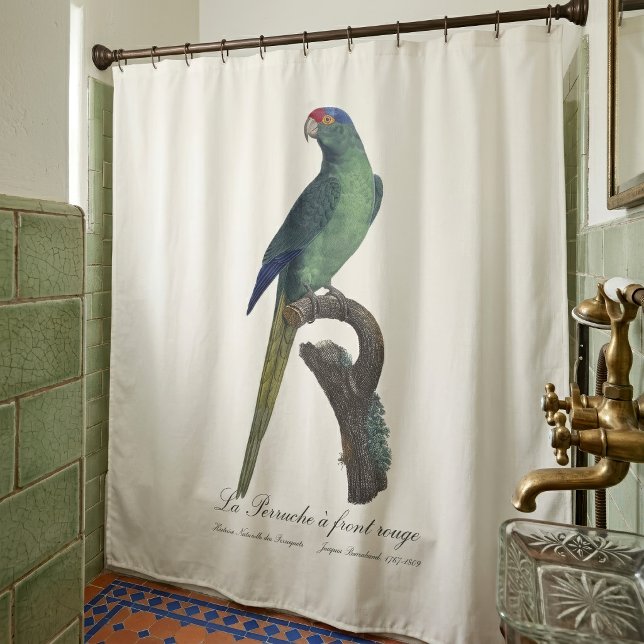 La Perruche - eine Vorfahrt Duschvorhang (Orange-Fronted Parakeet, Eupsittula Canicularis. Shower Curtain)
