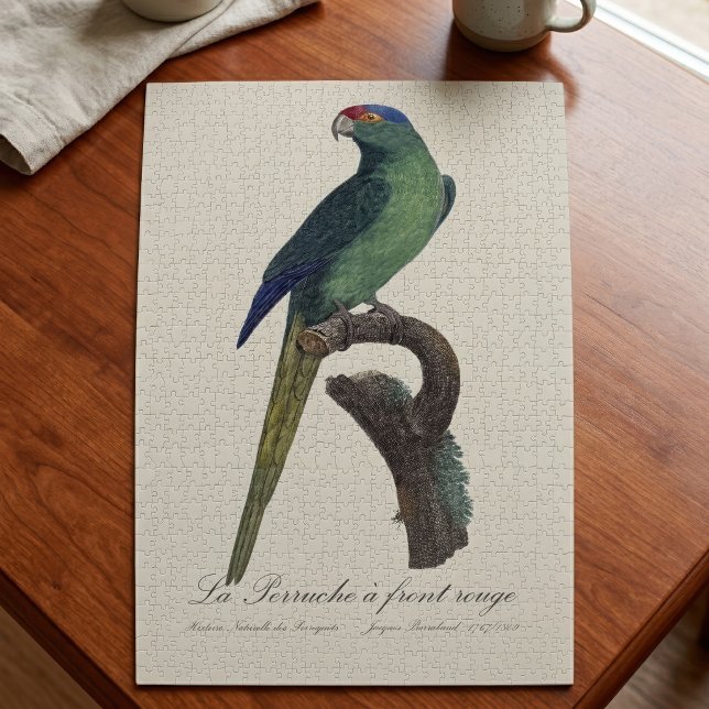 La Perruche - eine Vorfahrt Puzzle (Orange-Fronted Parakeet, Eupsittula Canicularis. Jigsaw Puzzle)