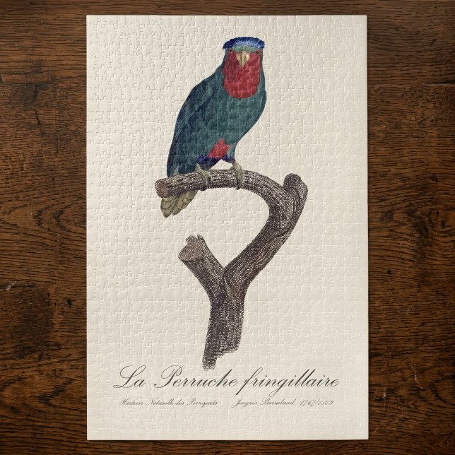 La Perruche fringillaire Puzzle (Blue-Crowned Lorikeet, Vini Australis. Jigsaw Puzzle)