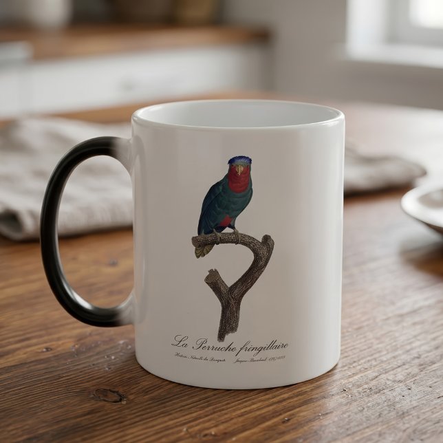 La Perruche fringillaire Verwandlungstasse (Blue-Crowned Lorikeet, Vini Australis. Color Morph Mug)