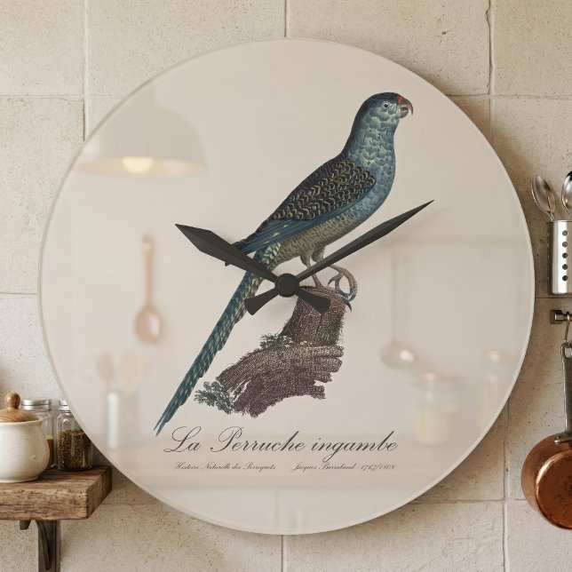 La Perruche ingambe Große Wanduhr (Ground Parrot or Swamp Parrot, Pezoporus Wallicus. Large Clock)