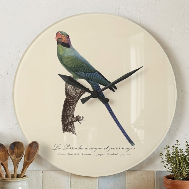 La Perruche ist ein einzigartiger Ort für Joues Große Wanduhr (Long-Tailed Parakeet, Psittacula Longicauda. Large Clock)