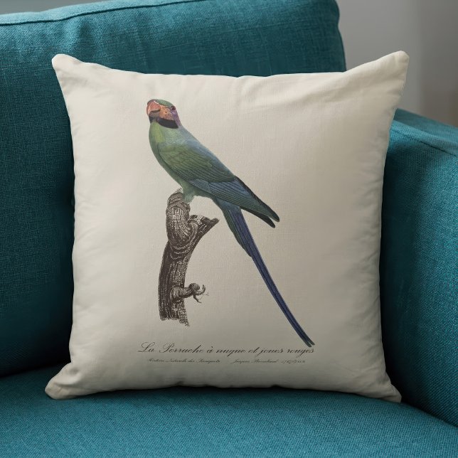 La Perruche ist ein einzigartiger Ort für Joues Kissen (Long-Tailed Parakeet, Psittacula Longicauda. Throw Pillow)