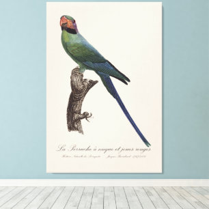 La Perruche ist ein einzigartiger Ort für Joues Leinwanddruck