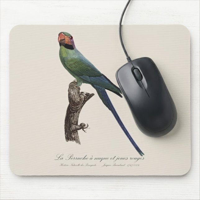 La Perruche ist ein einzigartiger Ort für Joues Mousepad (Long-Tailed Parakeet, Psittacula Longicauda. Mouse Pad)