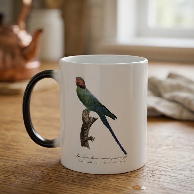 La Perruche ist ein einzigartiger Ort für Joues Verwandlungstasse (Long-Tailed Parakeet, Psittacula Longicauda. Color Morph Mug)