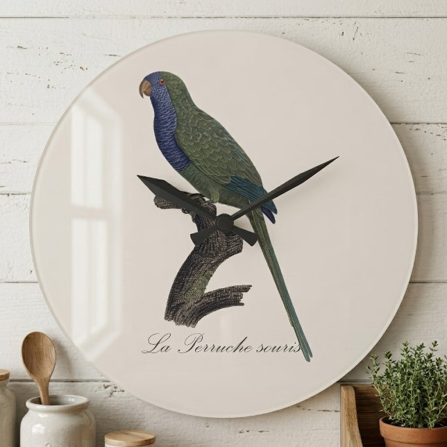 La Perruche souris / Monk Parakeet Große Wanduhr (Monk Parakeet or Monk Parrot, Myiopsitta Monachus. Large Clock)