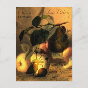 La Poire #1 Postkarte
