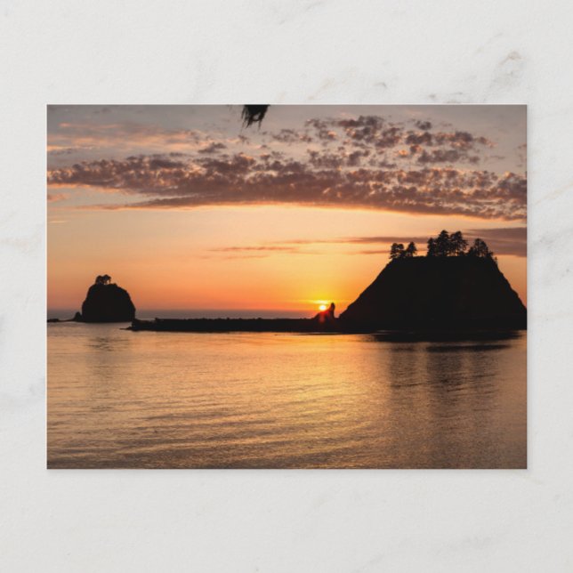 La Push, Washington. Panorama Postkarte (Vorderseite)