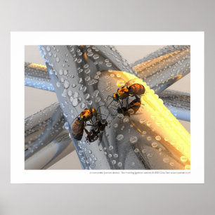 La rencontre - die Sitzung (goldene Version) Poster