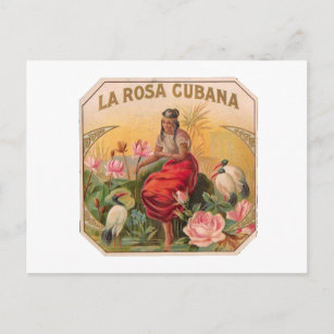 La Rosa Cubana Diseño Vintag Cuba Postkarte