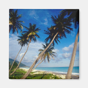 La Samana Halbinsel, Dominikanische Republik, Magnet