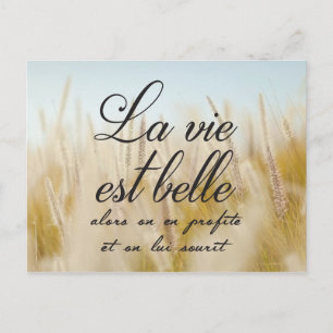 La vie est belle postkarte