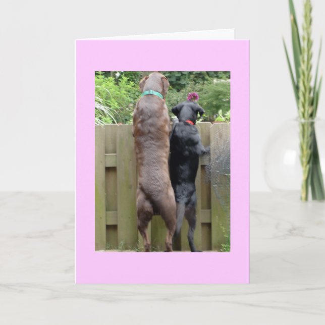 Labarador Dogs-Karte Karte (Vorderseite)