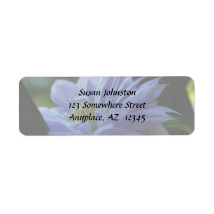 Label für die Blume von Lavender Clematis