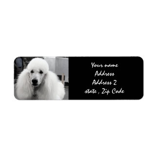 Labels für die weiße Poodle-Adresse