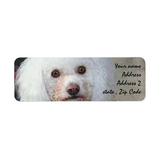 Labels für die weiße Poodle-Adresse (Vorne)