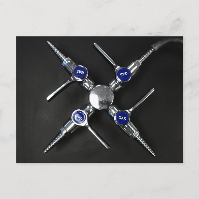 Laborgasventile auf dem Labrador Postkarte (Vorderseite)