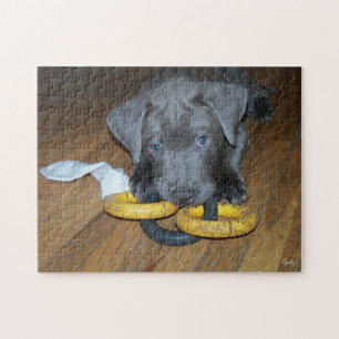 Labrabull Puppy Jigsaw Puzzle