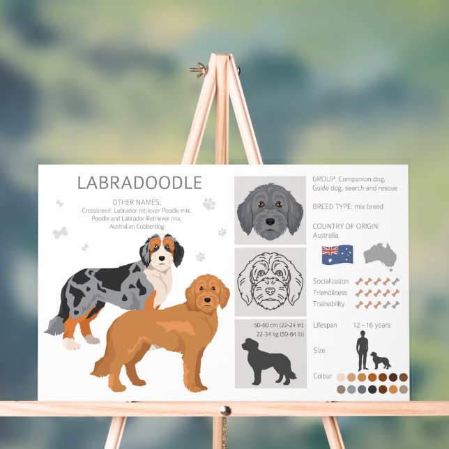 Labradoodal-Hundemischung Acrylschild (Neutral)