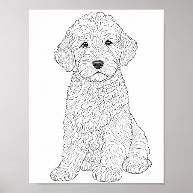 Labradoodle Adult Coloring Poster (Vorne)