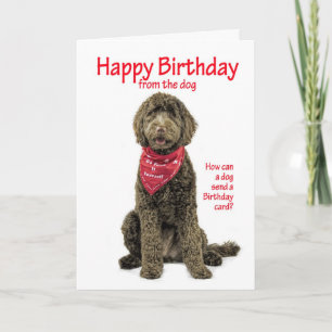 Labradoodle Birthday Card Karte