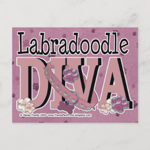 LabraDoodle DIVA Postkarte