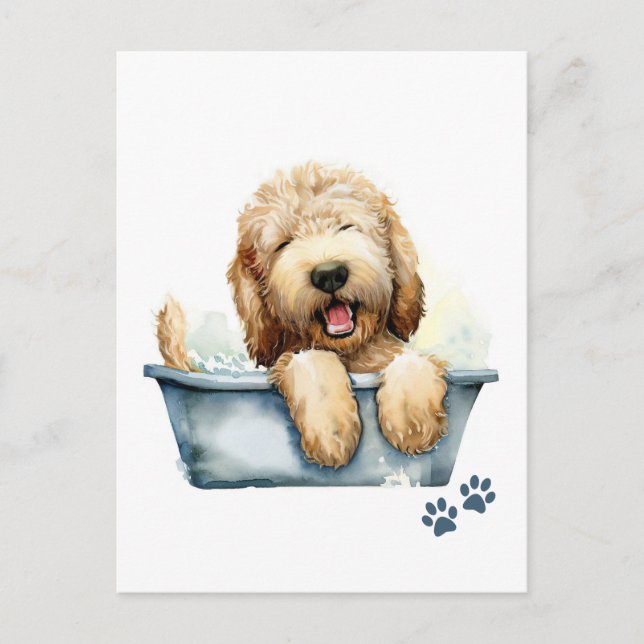 Labradoodle Dog Postkarte (Vorderseite)