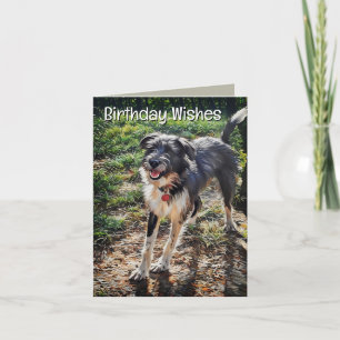 Labradoodle Geburtstagskarte Faltkarte Karte