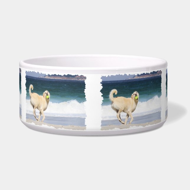 Labradoodle - glücklicher Tag auf dem Strand Napf (Vorderseite)