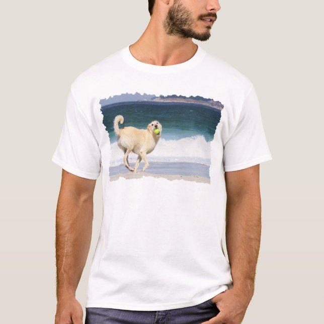 Labradoodle - glücklicher Tag auf dem Strand T-Shirt (Vorderseite)
